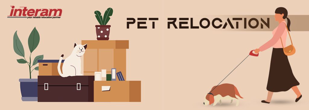 pet-relocation